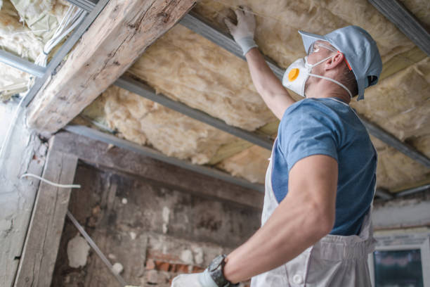 Insulation Replacement Services in Florence, AZ